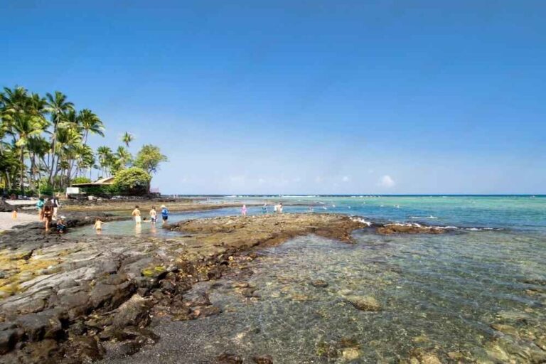 9 Best Snorkeling Spots on Big Island, Hawaii
