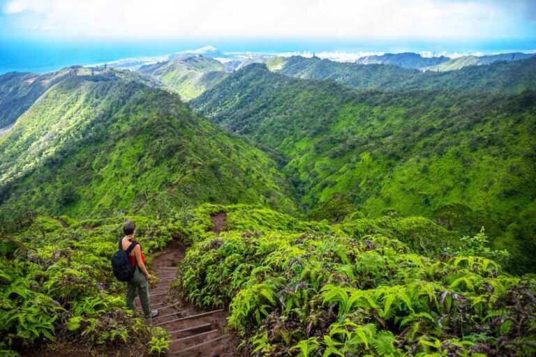 Top 10 Scenic Hikes in Oahu You Can’t Miss