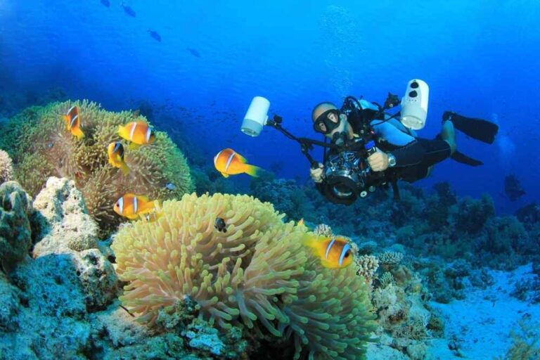 5 Best Underwater Cameras for Every Budget