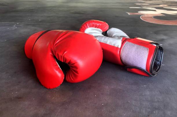 The Ultimate Guide to Choosing the Best Boxing Gloves