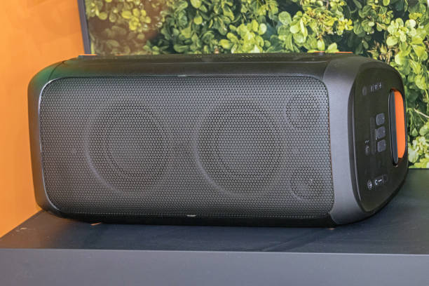 Best Large Bluetooth Speakers (Buyer’s Guide)